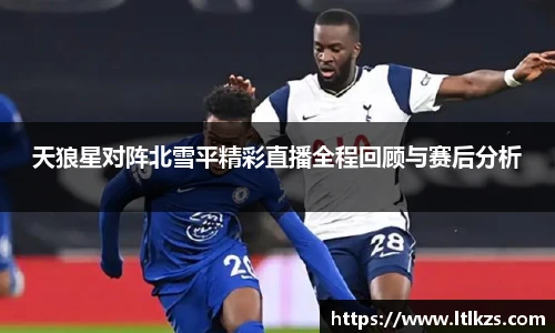 zoty中欧平台