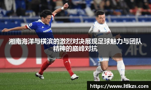 zoty中欧平台